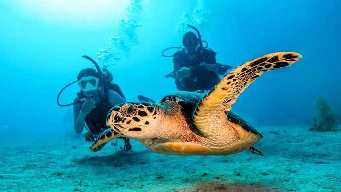 Advanced Open Water Diver