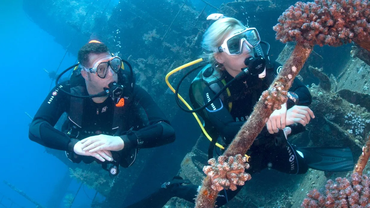Galería Buceo en Naufragios - (Wreck Diver)